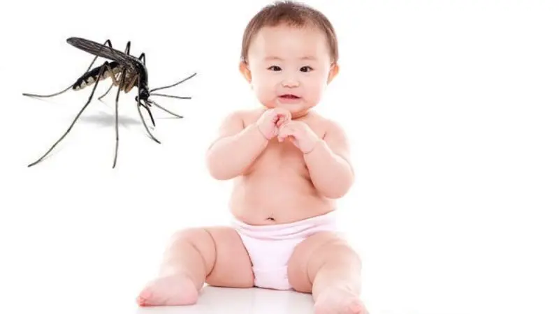 Tinh Dầu Đuổi Muỗi Có Hại Cho Trẻ Sơ Sinh Không? 